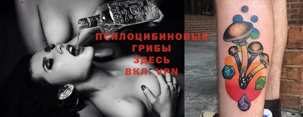 ECSTASY Ладушкин