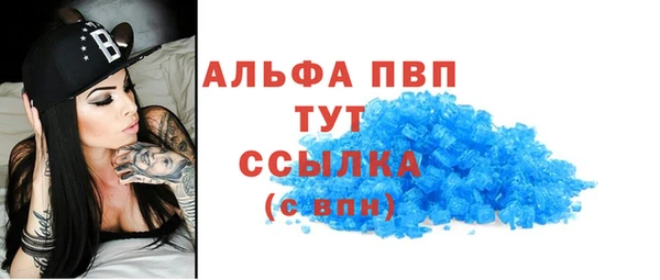ECSTASY Ладушкин