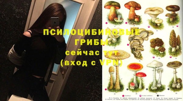 ПСИЛОЦИБИНОВЫЕ ГРИБЫ Балашиха
