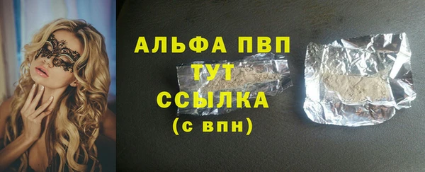 ECSTASY Ладушкин