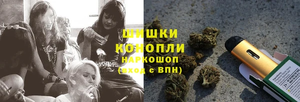 ECSTASY Ладушкин