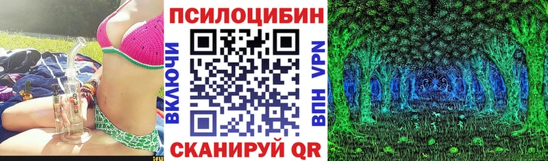 Псилоцибиновые грибы мухоморы  где купить наркоту  Никольское 